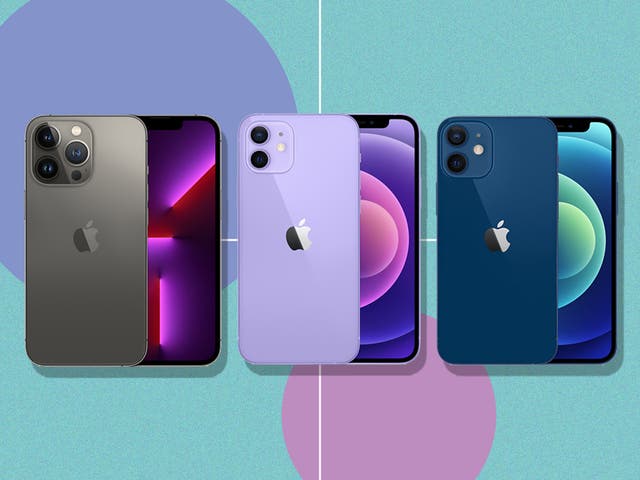 <p>Are you a pro max or a mini kind of Apple user? </p>